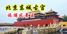 日逼视频黄中国北京-东城古宫旅游风景区